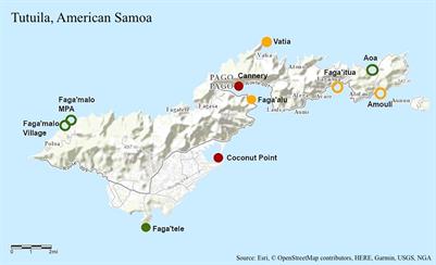 Variation in Coral Thermotolerance Across a Pollution Gradient Erodes as Coral Symbionts Shift to More Heat-Tolerant Genera